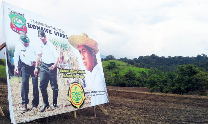 Stop Impor Jagung Target Kementan 2017, setelah 2016 Turun 66%